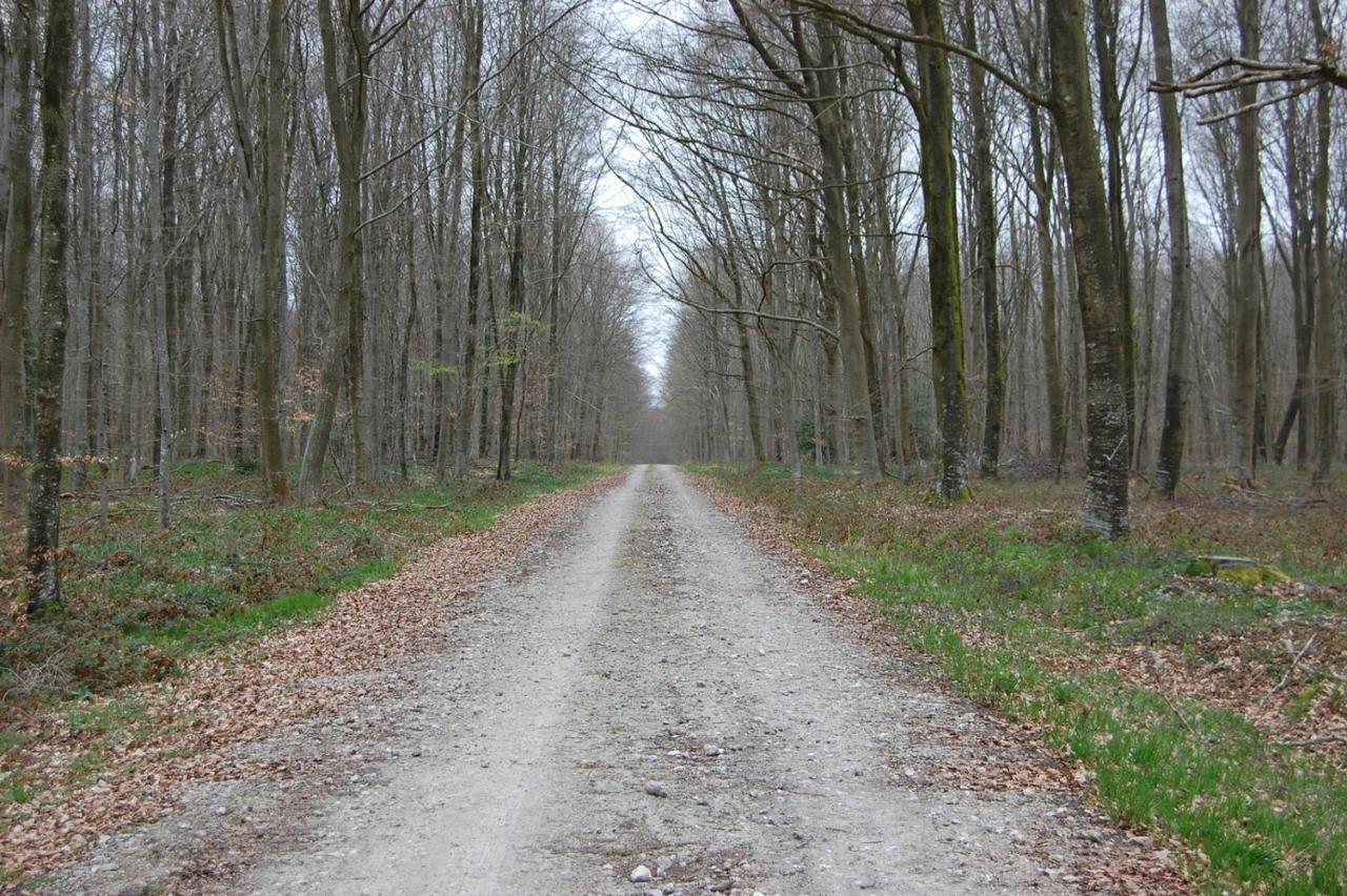 Le Petit Gite De La Varenne Saint-Hellier Bagian luar foto